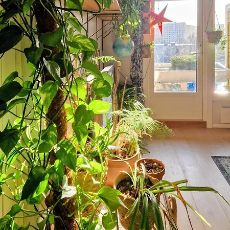 Apartment Bohemian With Soul *